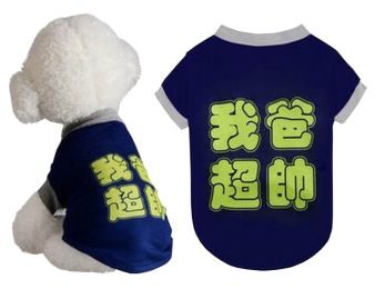 Pet Clothes Small Dog Clothes Fashion Spring Summer Clothes [Blue]