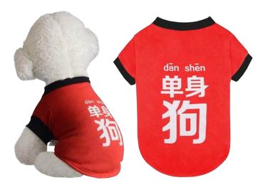 Pet Clothes Small Dog Clothes Fashion Spring Summer Clothes [Red]