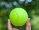 Set of 3 Pet Toys Puppy Dogs Toys For Dogs Stretch Ball [Tennis]