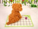 Hot Pet Dog Bed Mat Fashion Indonesian Cane Mats GREEN, 53*38cm