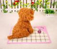 Hot Pet Dog Bed Mat Fashion Indonesian Cane Mats PINK, 53*38cm