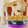 Stainless Steel Pet Bowl with Anti Skid Rubber Base and Dog Design, Large, Gray and Pink-Set of 4