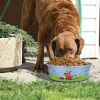 Multi Print Stainless Steel Dog Bowl By Boomer N Chaser-Set of 2