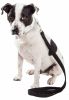 Pet Life  'Aero Mesh' Dual Sided Comfortable And Breathable Adjustable Mesh Dog Leash