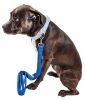 Pet Life  'Aero Mesh' Dual Sided Comfortable And Breathable Adjustable Mesh Dog Leash