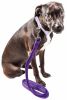 Pet Life  'Aero Mesh' Dual Sided Comfortable And Breathable Adjustable Mesh Dog Leash