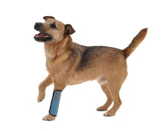 Extreme-Neoprene Joint Protective Reflective Pet Sleeves (Color: Blue, size: Small)