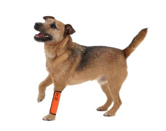 Extreme-Neoprene Joint Protective Reflective Pet Sleeves (Color: Orange, size: Small)