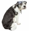 Pet Life  'Bone Cappa' Graffiti Sculptured Uv Protectant Adjustable Fashion Dog Hat Cap
