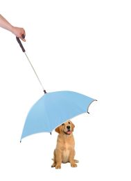 Pour-Protection Umbrella With Reflective Lining And Leash Holder (Color: Blue)