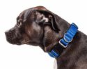 Pet Life  'Aero Mesh' 360 Degree Dual Sided Comfortable And Breathable Adjustable Mesh Dog Collar