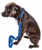 Pet Life  'Aero Mesh' 2-In-1 Dual Sided Comfortable And Breathable Adjustable Mesh Dog Leash-Collar