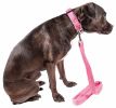 Pet Life  'Aero Mesh' 2-In-1 Dual Sided Comfortable And Breathable Adjustable Mesh Dog Leash-Collar