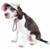 Pet Life  'Botanic Bark' Floral Uv Protectant Adjustable Fashion Dog Hat Cap